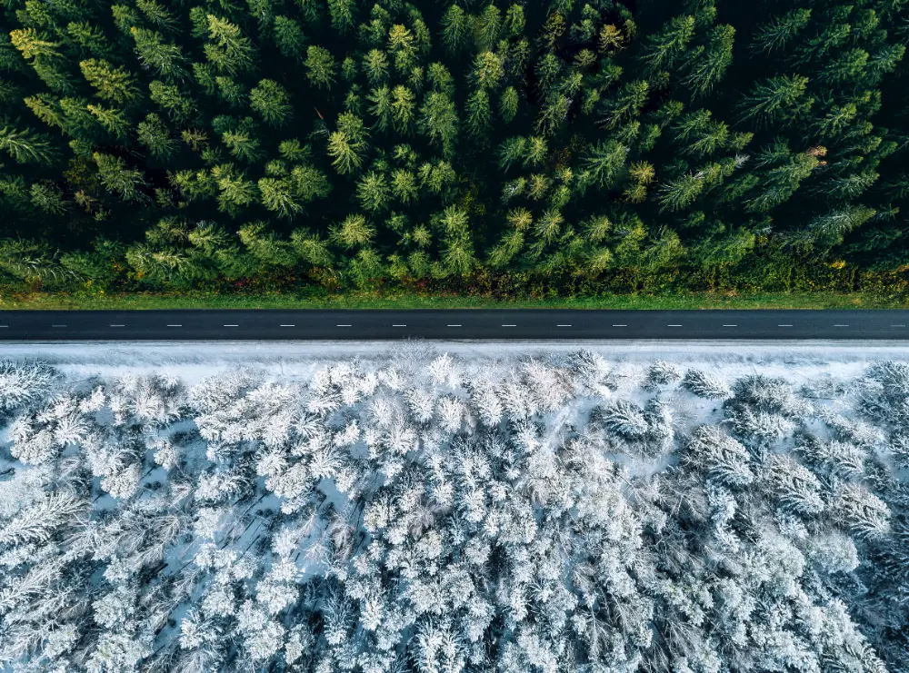 Carretera dividida entre paisajes de otoño e invierno